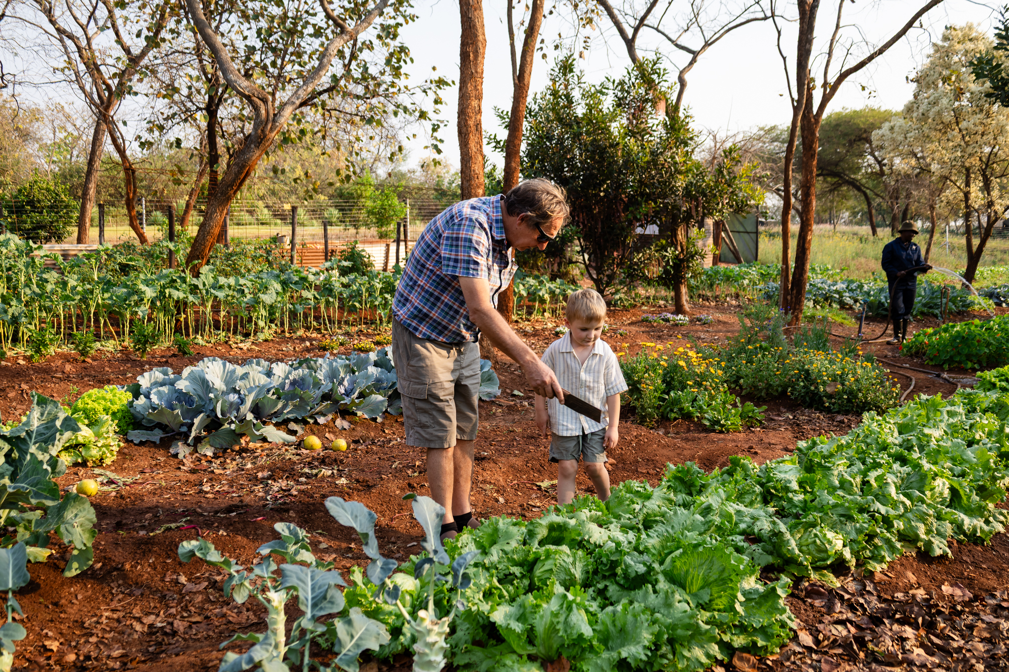 Callum and grandad in the vegetable garden at Woodlands