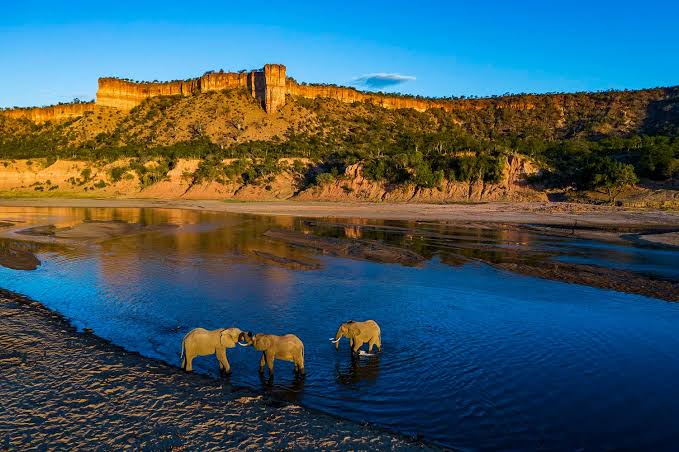 Guided walk near rhinos in Gonarezhou