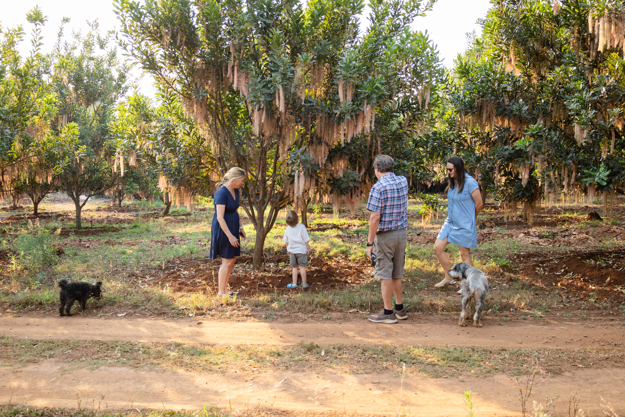 Family generations together in the macadamia orchard at Woodlands