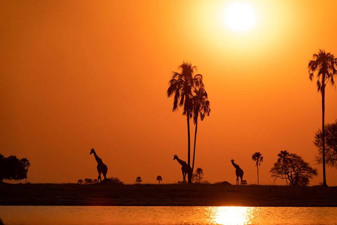 Hwange National Park