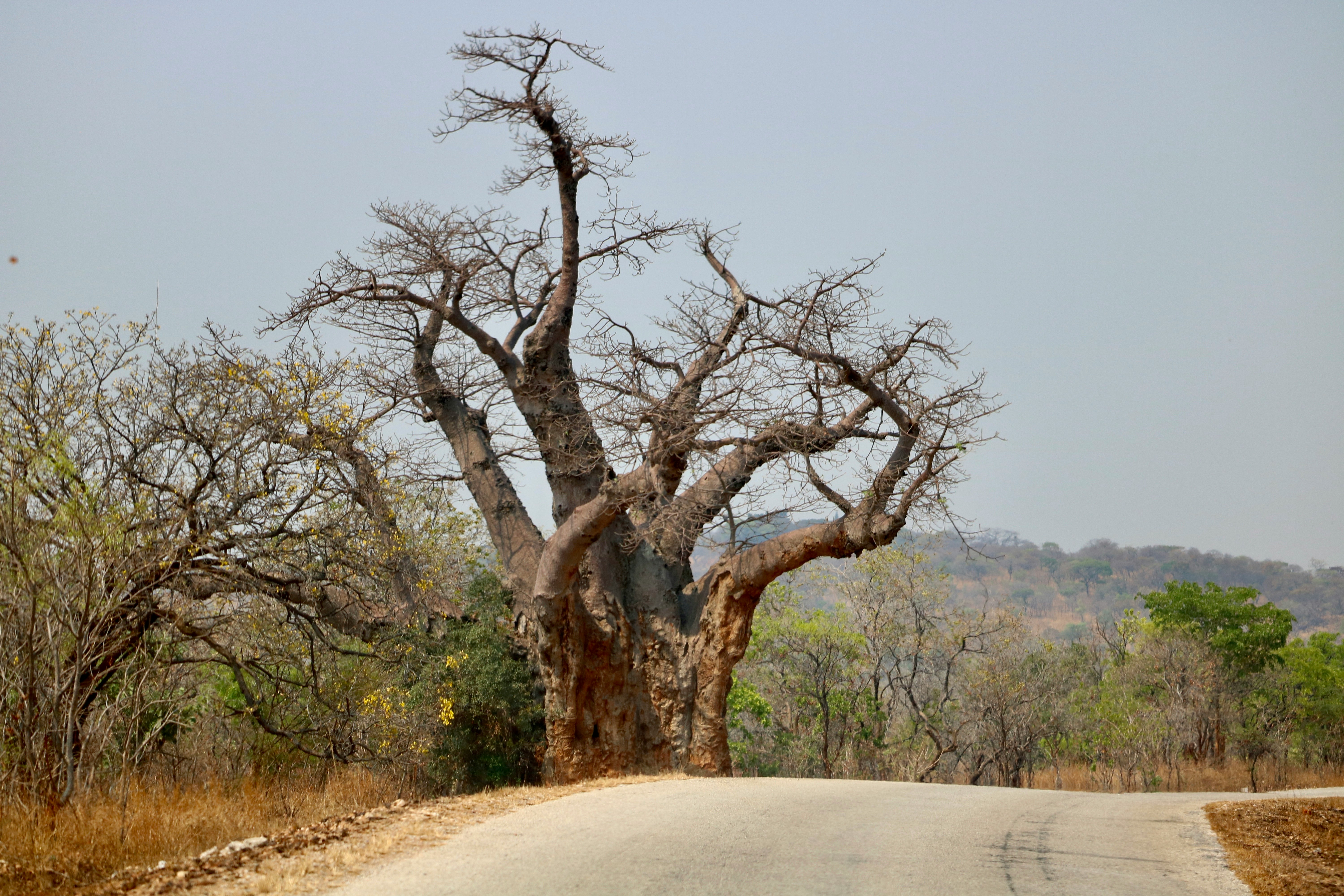 Lake Kariba