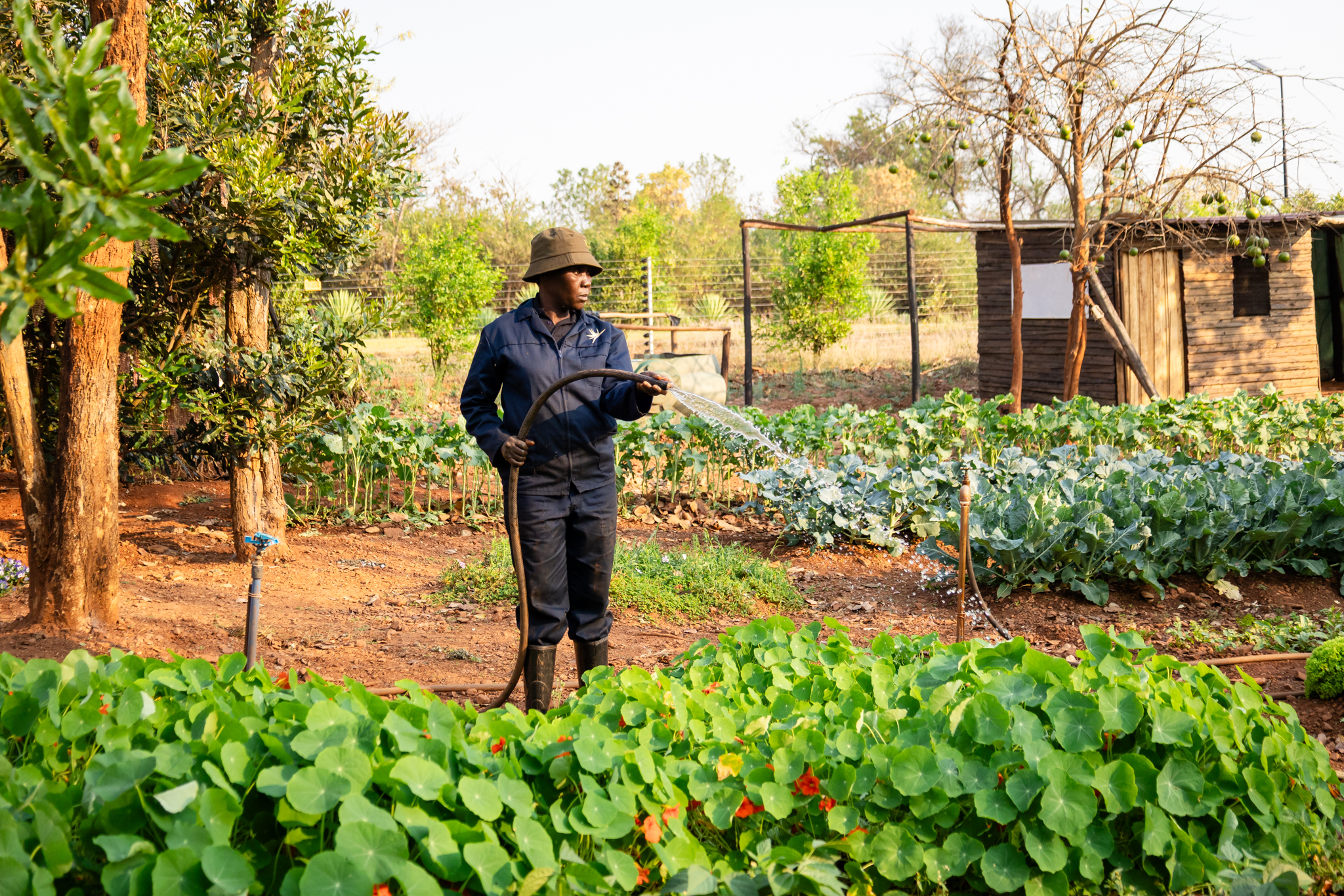 Martha in the vegetable garden at Woodlands